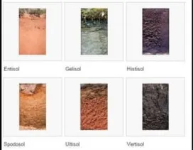 Soil Classification Image